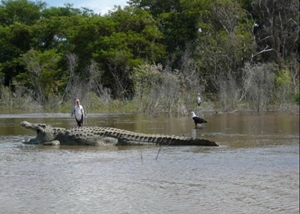 Nechisar National Park