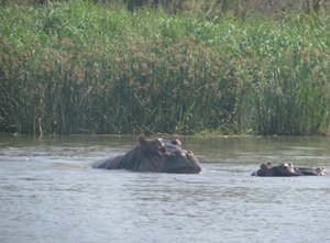 Nechisar National Park