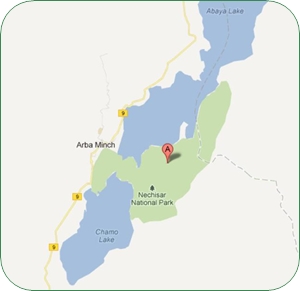 Nechisar National Park