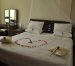 Homland Hotel Picture