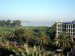 Summerland Hotel Picture